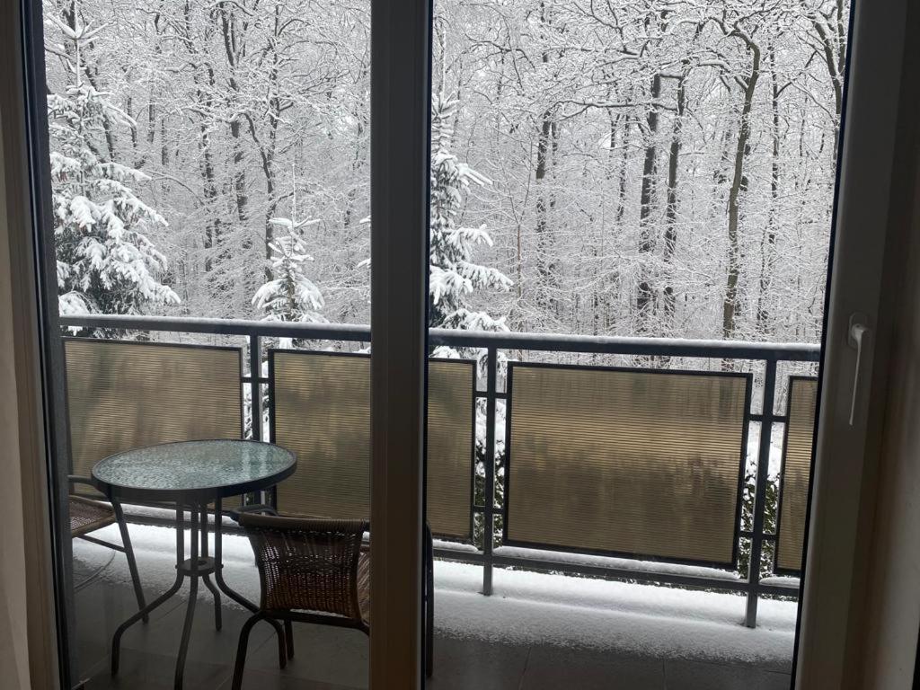 Apartament Natalia Żywiec Eksteriør bilde